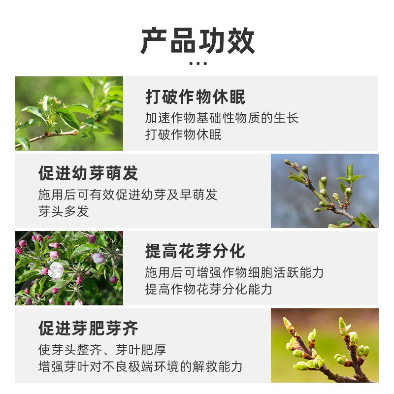 进口促花芽分化专用叶面肥柑橘茶树玫瑰蔬菜植物催芽剂花芽素授粉