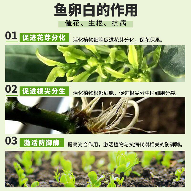 鱼蛋白原浆进口水溶肥料海藻鱼蛋白桶装生根壮苗膨果抗逆冲施肥