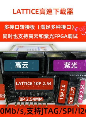 Lattice高速下载器编程器 HW-USBN-2B仿真器FPGA调试烧录器企业版