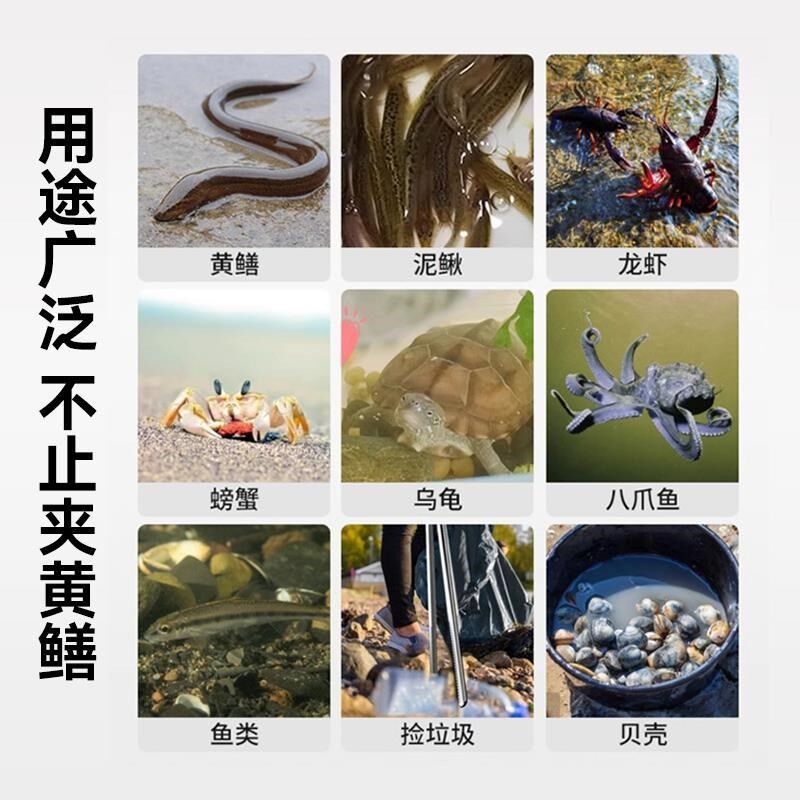 黄鳝夹子加厚加长防滑鳝鱼夹不锈钢抓螃蟹泥鳅钳子赶海长鱼捕捉器
