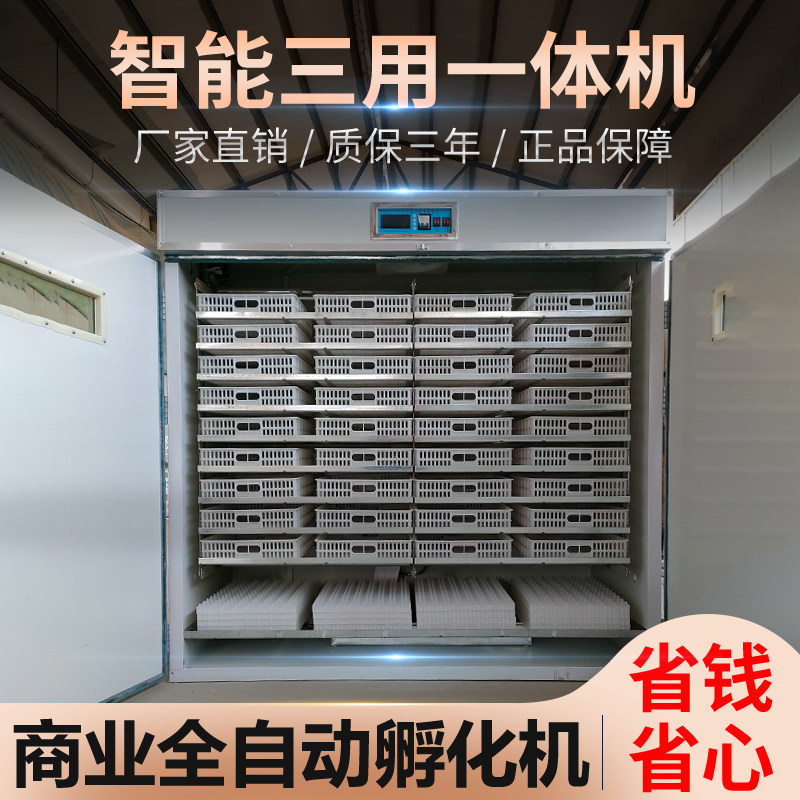 孵化机全自动鸵鸟蛋孵化器鸸鹋孵化箱澳洲鸵鸟孵化设备智能孵蛋器
