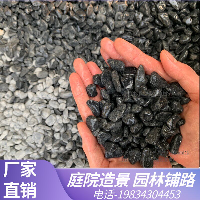 内蒙古五彩石子水洗造景适用于地面装饰的小石粒 洗米石胶粘石路
