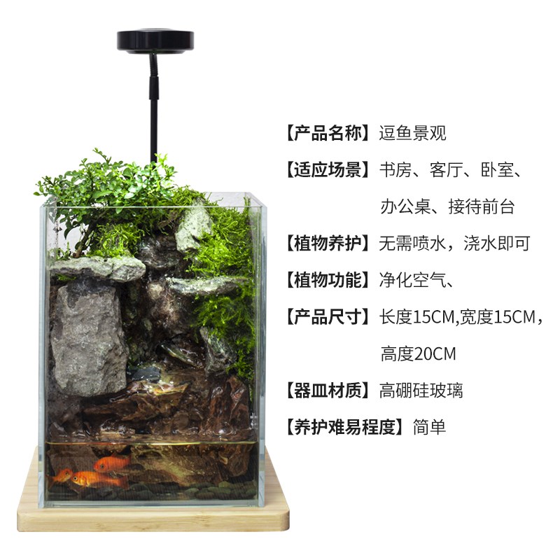 石上清泉流水款养鱼缸真植物苔藓微景观生态瓶办公室成品室内送礼