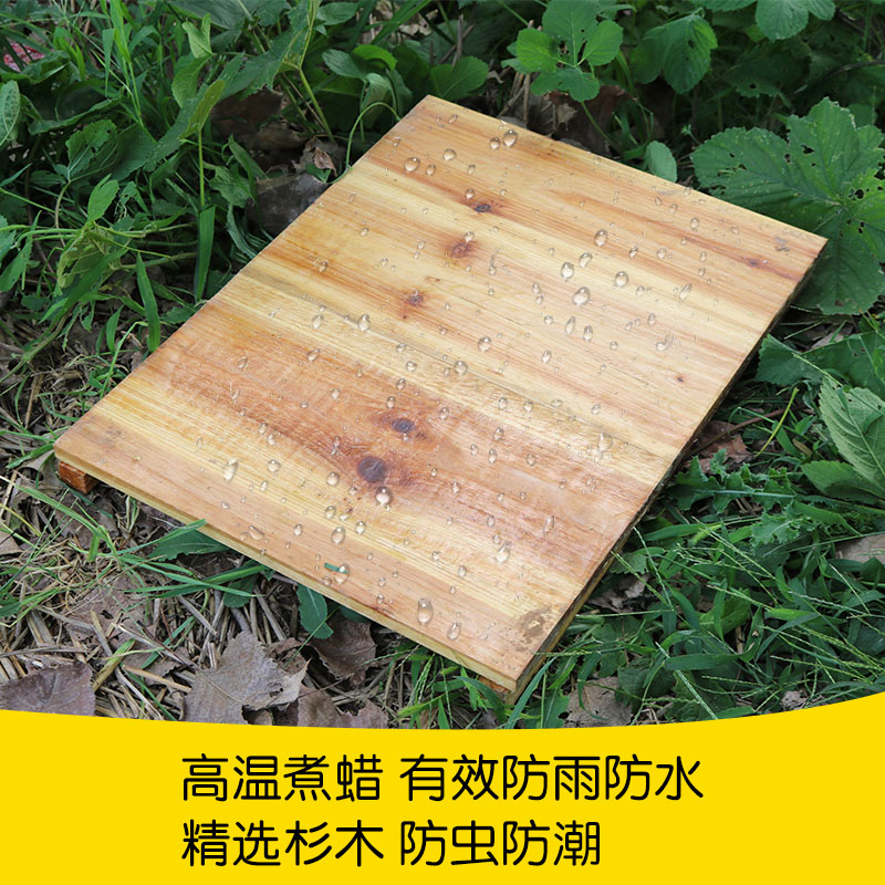 蜂蜜蜂箱包邮养蜂工具全套杉木浸蜡煮蜡诱蜂箱巢础蜂具 中蜂蜂箱