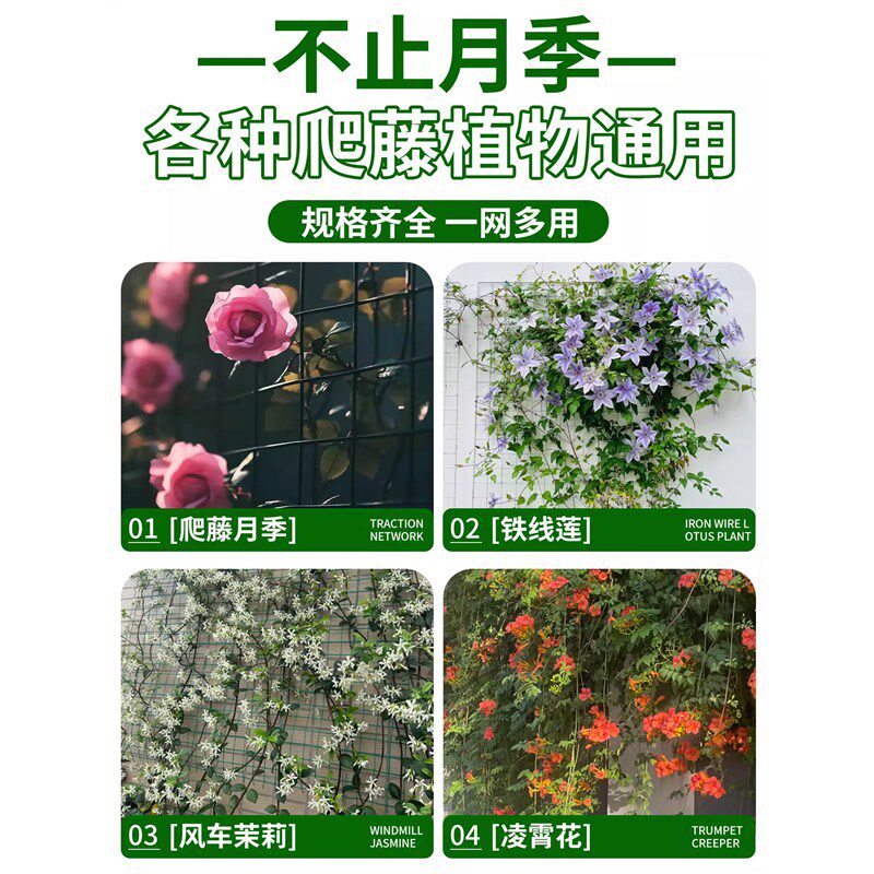 月季爬藤网植物攀爬网种植农用方格网新型造型专用铁丝网家用庭院