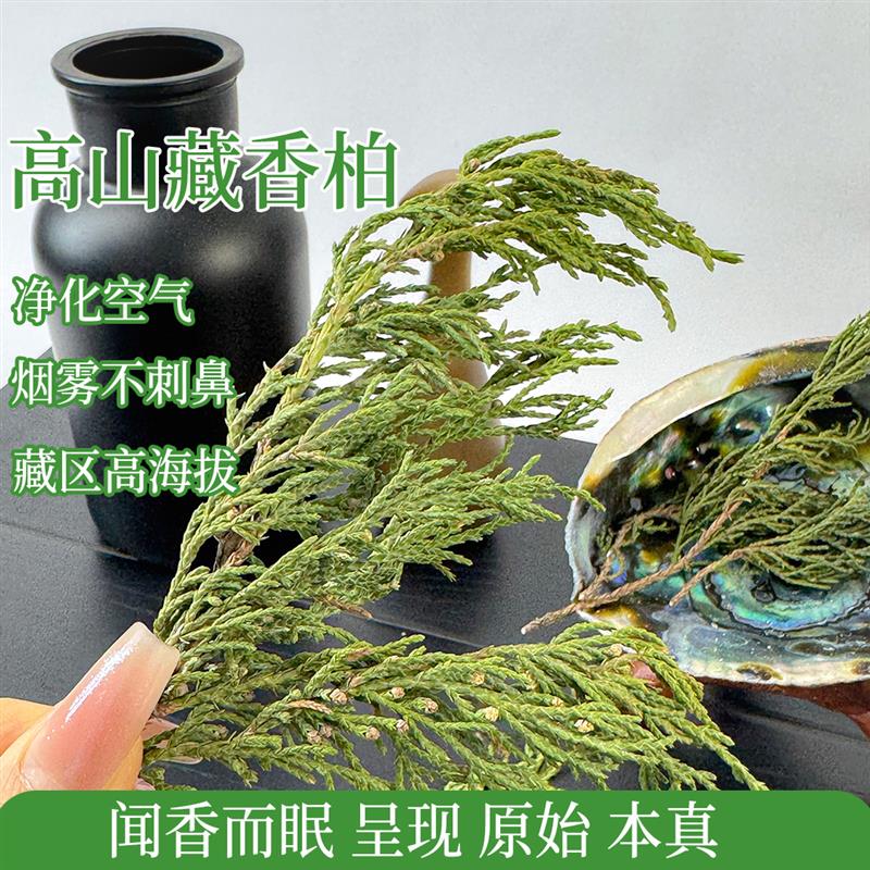 真正西藏藏香柏纯天然的植物熏香净化空间祛除杂质异味天然柏叶图片