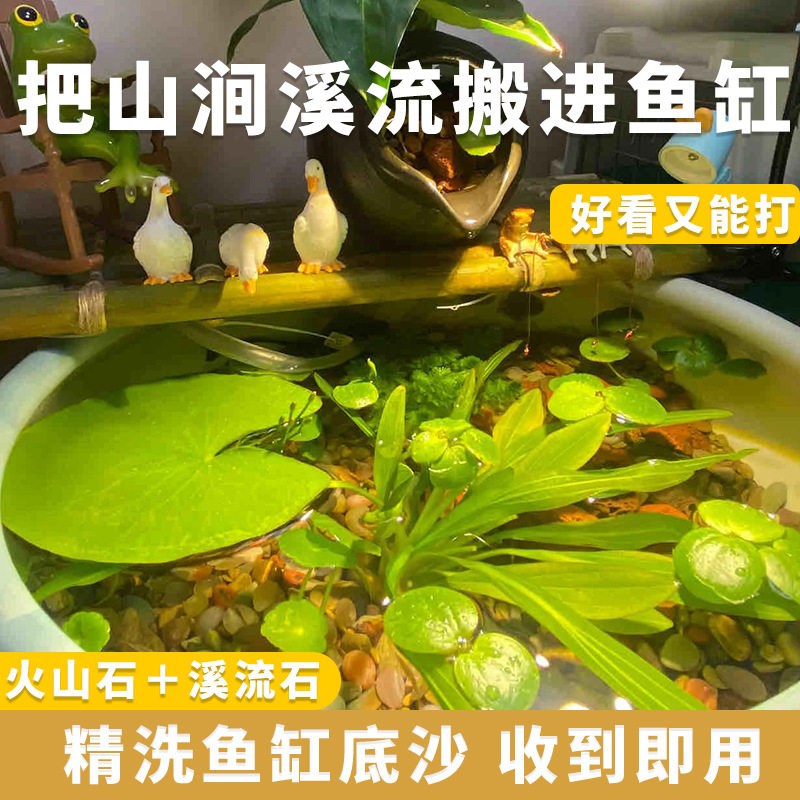 精洗精品溪流石火山石鱼缸底砂套餐水草装饰沙子铺底古法养鱼造景