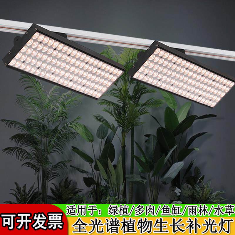 植物生长灯LED轨道灯40W太阳全光谱热植龙舌兰绿植景观墙补光灯