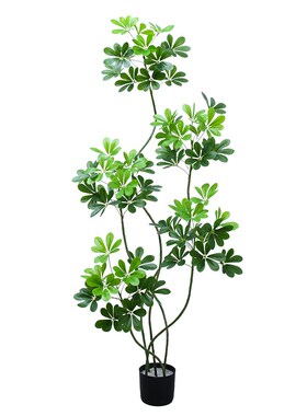 仿真鸭脚木室内绿色植物高端轻奢绿植装饰大型落地摆件塑料蓝花楹
