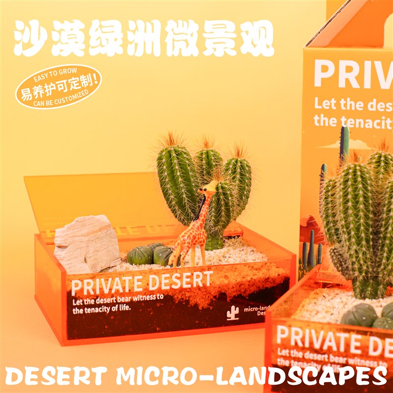 氧植青年沙漠绿洲微景观仙人掌多肉工位桌面植物创意摆件礼盒礼物