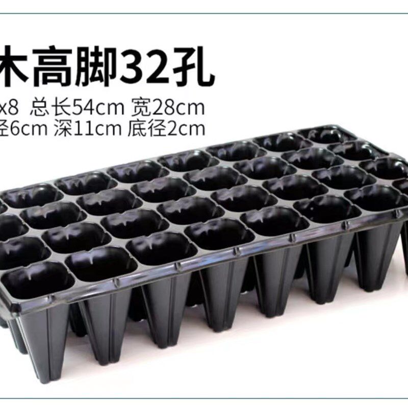 育苗盘穴盘加厚多肉育苗盆小黑方塑料营养杯栽植营养钵育苗杯苗盘