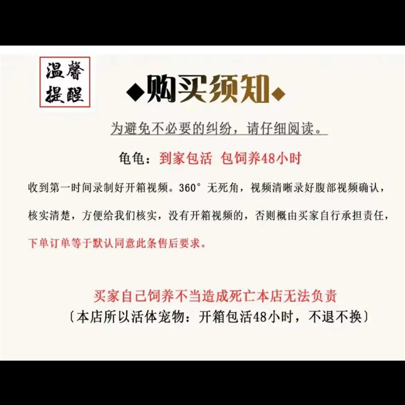 佛鳄龟苗凶猛鳄龟宠物 纯佛鳄龟 原种爆刺野后观活体宠物观赏宠物