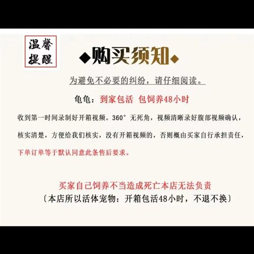 佛鳄龟苗凶猛鳄龟宠物 纯佛鳄龟 原种爆刺野后观活体宠物观赏宠物