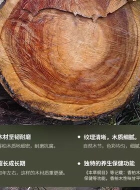 天然香柏木儿童泡脚桶木桶养生小孩洗脚盆足浴桶过小腿保温按摩