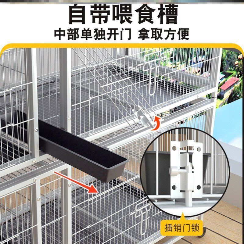 鸽子笼家用繁殖配对笼养鸽子专用肉鸽养殖笼子专业大型元宝鸽笼