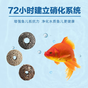 鱼缸过滤材料玛雅石培菌球滤材中空球石英球硝化细菌屋陶瓷环博特