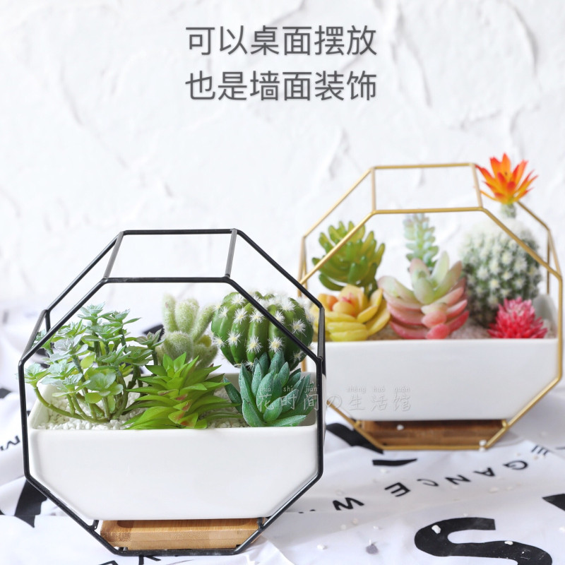 ins风仿真多肉植物盆栽北欧墙上桌面书架假花塑料花壁挂装饰摆件