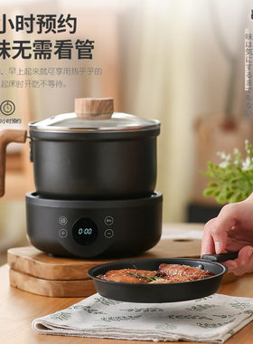 电煮锅110v伏出口小家电多功能家用智能分体式小电饭锅迷你分体锅