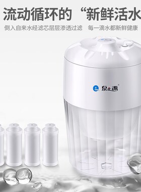 泉之源陶瓷滤芯净水桶自来水井水山泉水老人过滤器茶吧机净水器