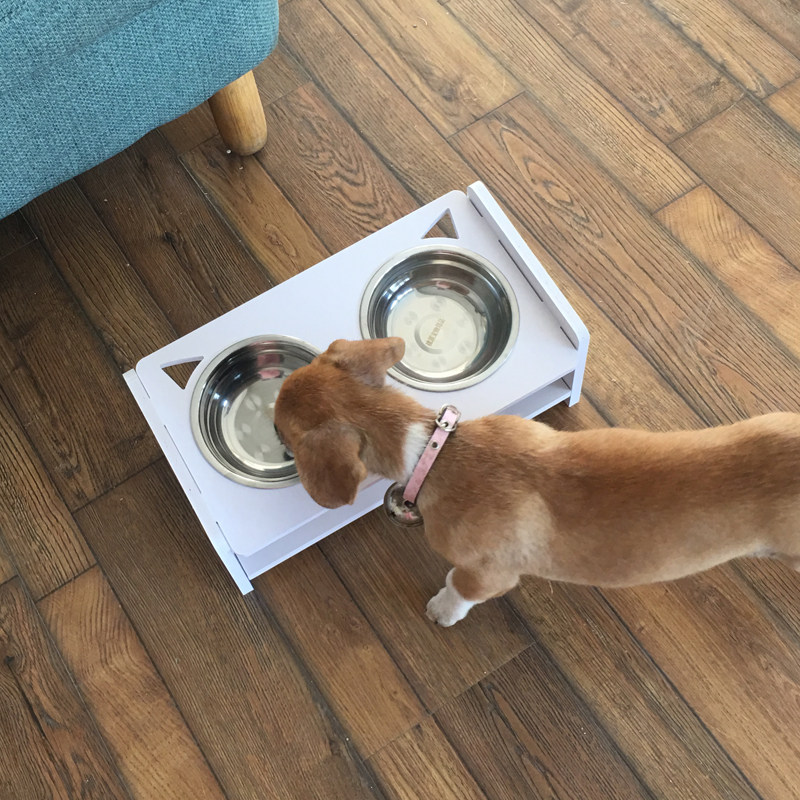 猫碗双盆卡通小狗狗碗盆大狗食架三盆架喂食器宠物猫咪通用吃饭盆