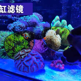 东杰聊海水珊瑚鱼缸滤镜过滤蓝光眼镜滤镜海水缸珊瑚缸拍照去蓝光