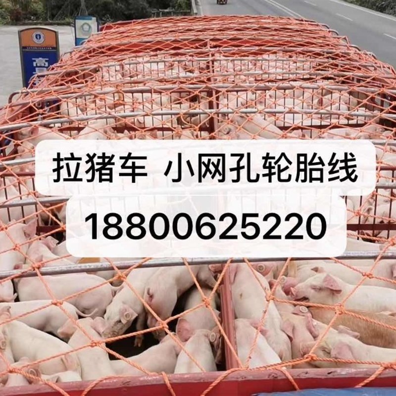 长宽定做 拉猪车盖顶小孔轮胎线结实 防护网 户外网子 货车网绳