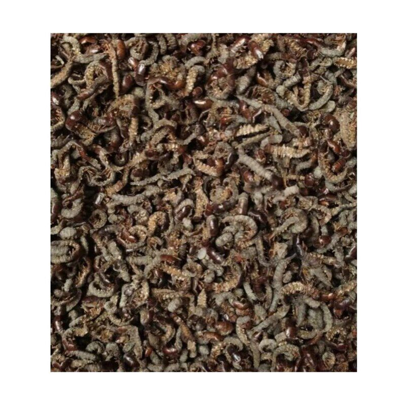 画眉鸟食鸟饲料鸟粮鸟料水蜈蚣爬沙虫河虫提性壮瞟上力耐斗干货虫