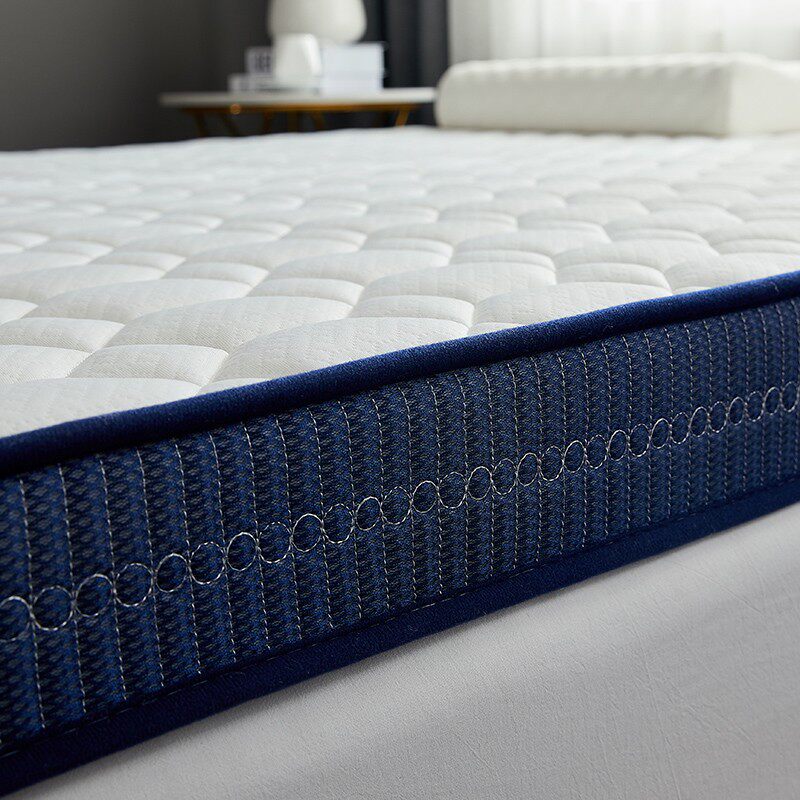 床垫家用卧室双人加厚经济型打地铺折叠软垫四季通用被褥铺底宿舍