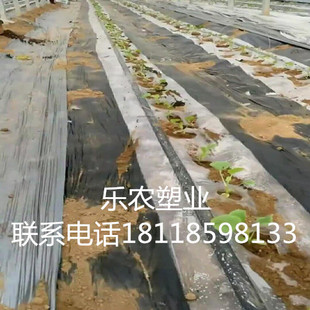 全新料 2寸N8050mm滴灌带 滴管带 喷管带微喷带 滴灌带2寸