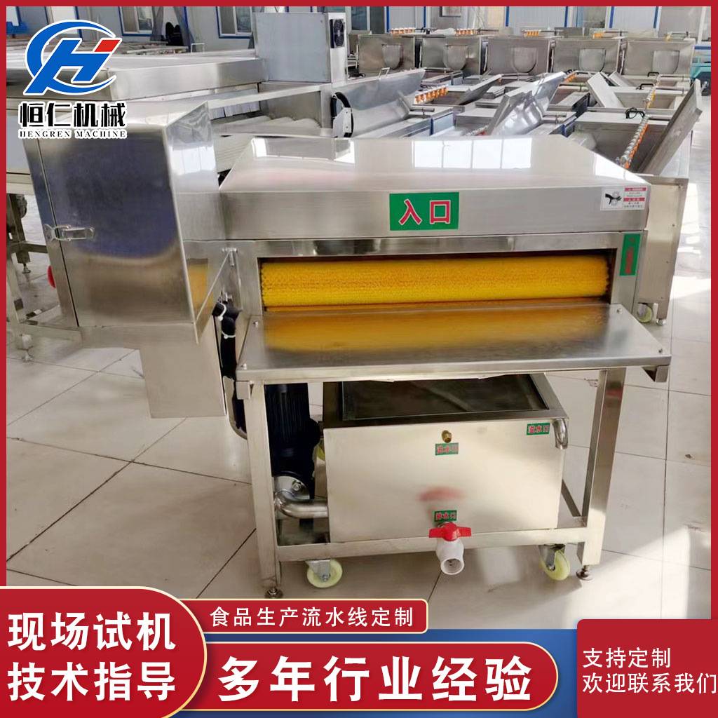 荷叶毛辊清洗设备厂家芭蕉叶表面去污清洗机粽叶清洗机直供