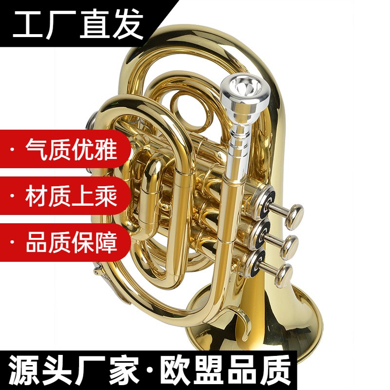 纯铜漆金手掌号乐器 袖珍小号 口袋号 降B调 三音短号初学 专业