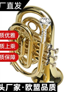 纯铜漆金手掌号乐器 袖珍小号 口袋号 降B调 三音短号初学 专业
