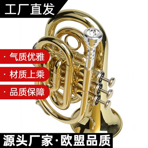 纯铜漆金手掌号乐器 袖珍小号 口袋号 降B调 三音短号初学 专业