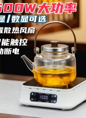 茶总堂电陶炉小型烧水电茶炉煮茶泡茶迷你保温咖啡蒸茶1500W新款