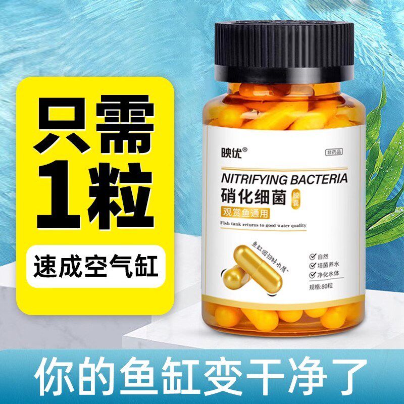 硝化细菌鱼缸专用胶囊净水剂颗粒活菌干粉水质稳定净化水族鱼缸用