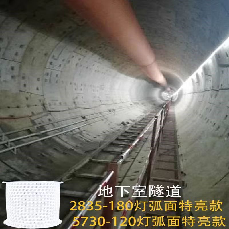 led灯带100米220V户外工程照明户外防水养殖塔吊工地地下室灯带条