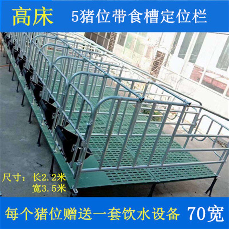 母猪位定位栏单体栏猪用限位栏十个猪位带食槽限位栏养猪设备器械
