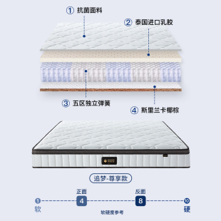 梦神乳胶床垫十大名牌椰棕垫弹簧床垫席梦思护脊硬垫床垫家用追梦