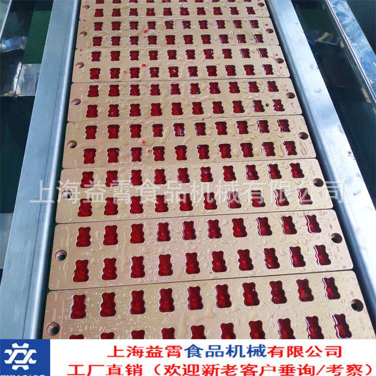 304材质胶原蛋白软糖机 全套透明质酸钠软糖机 提供褪黑素软糖机