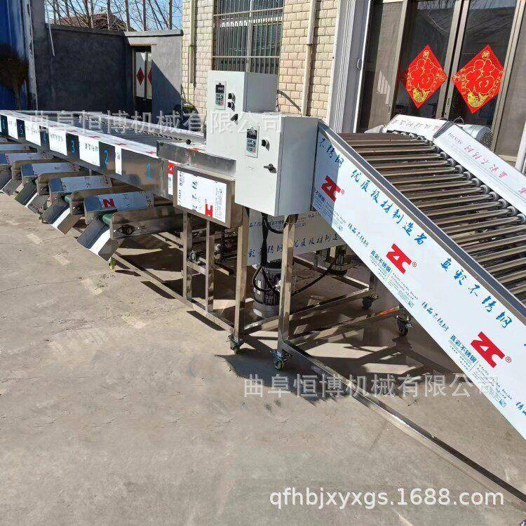草莓筛选机 多功能洋葱分选机 商用苹果梨分级机 大型滚杠筛选机