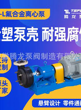 FSB-L氟合金离心泵厂家 耐酸耐碱加药循环泵 单级化工泵 腾龙泵阀