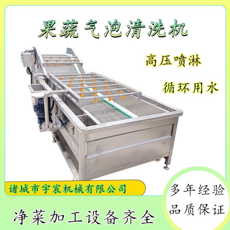 青椒辣椒喷淋式气泡清洗机圣女果番茄清洗设备切菜油麦菜洗菜机