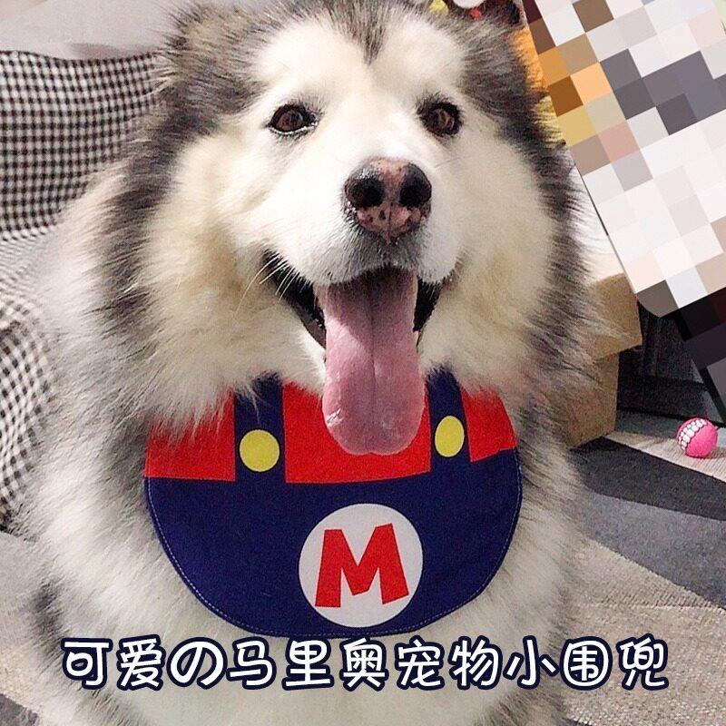 狗狗口水巾夏季可爱饮品保护胸毛中大型犬宠物猫咪围兜萨摩口水巾