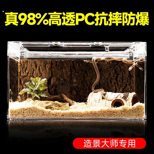 爬宠亚克力角蛙饲养箱蜥蜴蛇睫角守宫寄居蟹爬虫生态雨林缸饲养盒