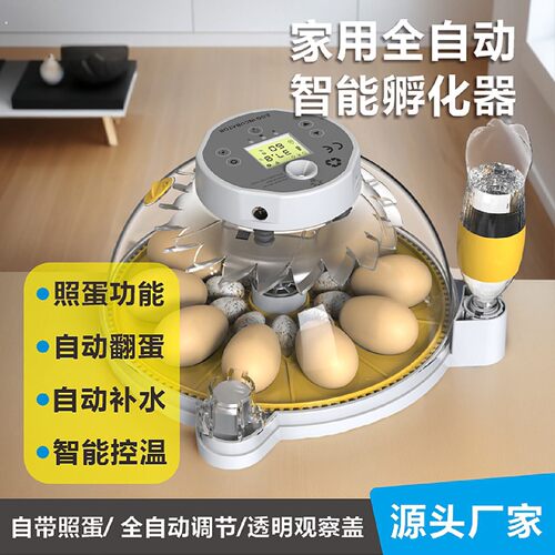 新款高端家用小型孵化器1/4吋套筒扳手蝶孵蛋器鸡蛋孵化箱鸽子芦