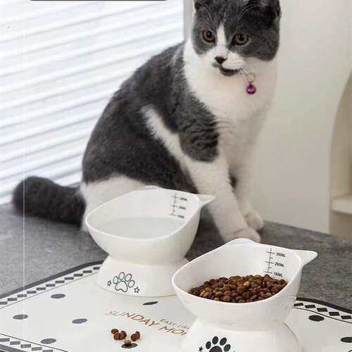 猫咪水碗黑色加宽猫碗陶瓷宠物碗防打翻猫咪喝水碗狗碗保护颈椎高
