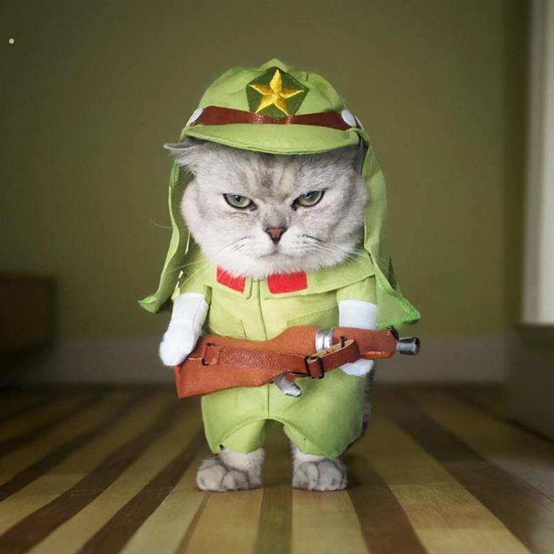 宠物猫咪狗狗搞怪衣服搞笑恶搞可爱服装变身直立装柯基柴犬幼猫
