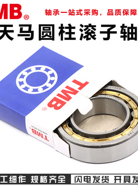 天马TMB轴承N NU NJ RN NUP NF 206 207 208 209 210 212 EM C3 M