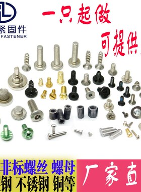 非标螺丝螺母定做 螺栓定做加工 车床数控定做不锈钢 铁 铜异型件