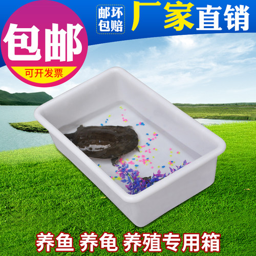周转箱大白盆塑料箱塑料方盘塑胶框养鱼养龟箱白色周转箱加厚新料